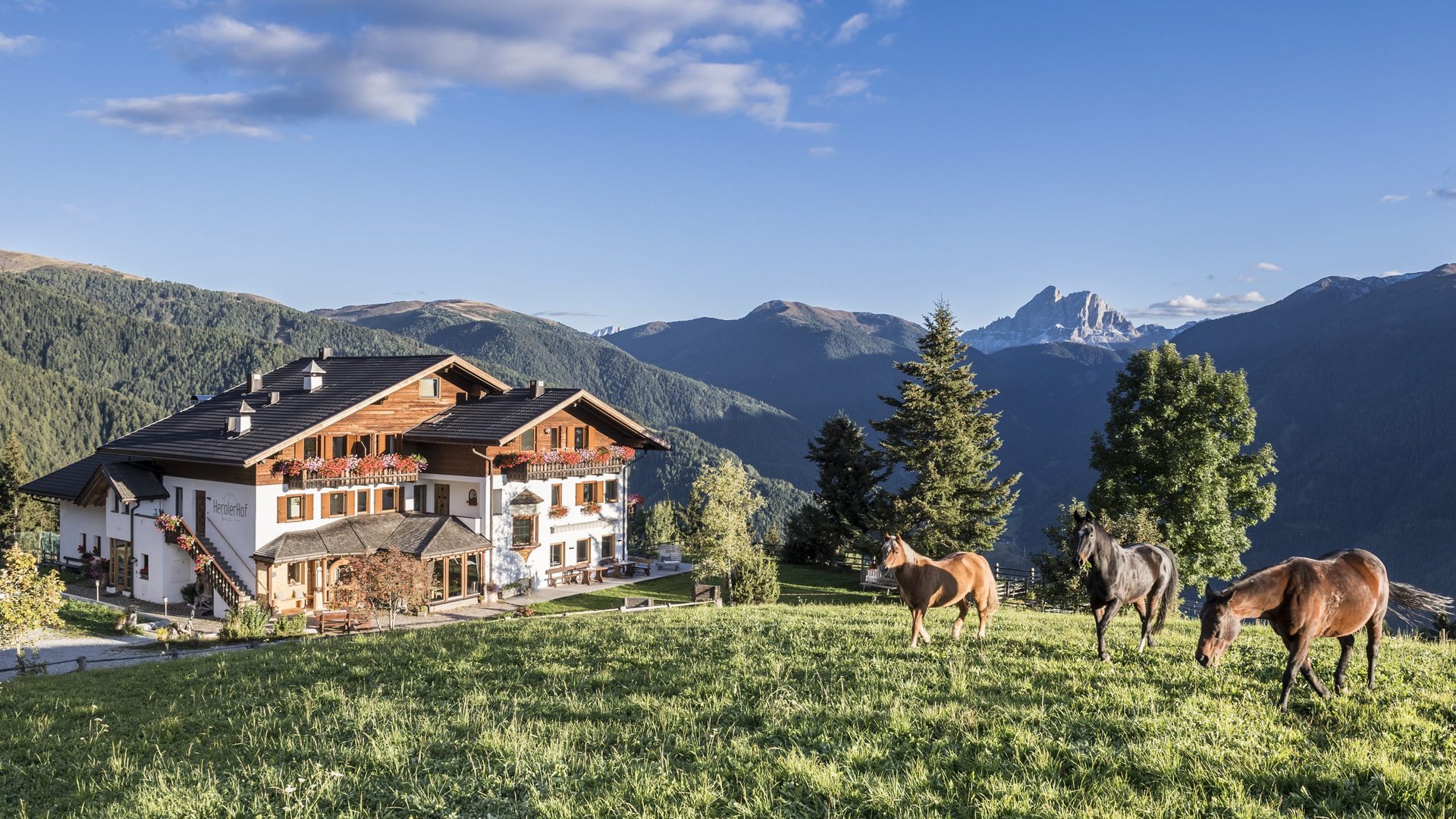 Südtirol Gutschein